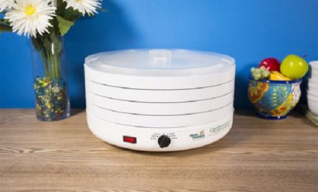 Food Dehydrator Tips as a Versatile Tool for Your Kitchen